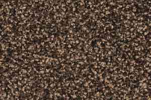 Ковровая плитка Balsan Mezzo Sonic Confort 790 фото  | FLOORDEALER