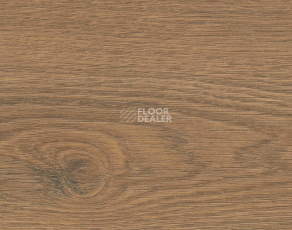 Ламинат Haro Tritty 200 Aqua 4V Дуб Флавия Дымчатый 544763 фото 1 | FLOORDEALER