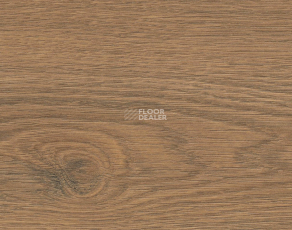 Haro Tritty 200 Aqua 4V Дуб Флавия Дымчатый 544763 фото 1 | FLOORDEALER