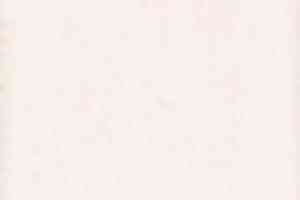 Ковролин Tapibel Casa 24868 фото  | FLOORDEALER