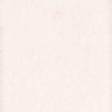 Ковролин Tapibel Casa 24868 фото 1 | FLOORDEALER