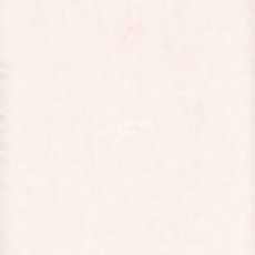 Ковролин Tapibel Casa 24868 фото 1 | FLOORDEALER