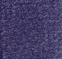 Ковролин Emphatic Beaulieu of America 56461 фото 1 | FLOORDEALER