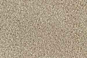 Ковролин Edel Zeal 122 фото  | FLOORDEALER