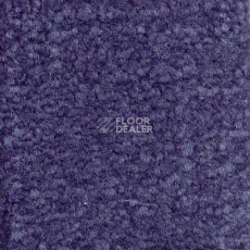 Ковролин Emphatic Beaulieu of America 56461 фото 1 | FLOORDEALER