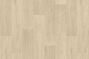 Линолеум Tarkett Status LEON1 фото  | FLOORDEALER