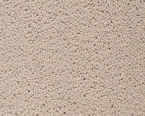 Ковролин Best Wool Pure Brunel d 10007 фото 1 | FLOORDEALER