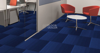 Ambient Ambient 557 фото 2 | FLOORDEALER