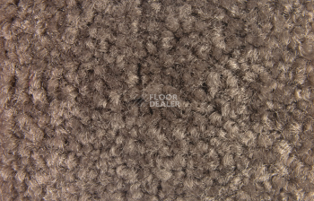 Balsan Bolero 670 фото 2 | FLOORDEALER