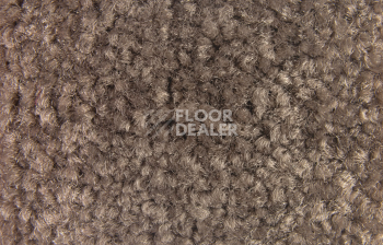 Balsan Bolero 670 фото 2 | FLOORDEALER