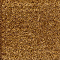 Ковролин Emphatic Beaulieu of America 56722 фото 1 | FLOORDEALER