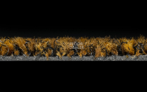 Forbo Coral Brush 5736 Cinnamon Brown фото 3 | FLOORDEALER