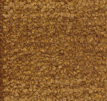 Ковролин Emphatic Beaulieu of America 56722 фото 1 | FLOORDEALER