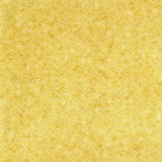 Diamond Standart Evolution 4253-464 фото 1 | FLOORDEALER