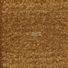 Ковролин Emphatic Beaulieu of America 56722 фото 1 | FLOORDEALER