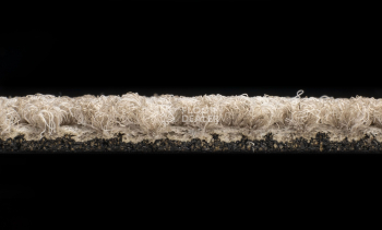 Desso Essence 2923 фото 3 | FLOORDEALER