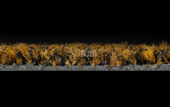 Forbo Coral Brush 5736 Cinnamon Brown фото 3 | FLOORDEALER