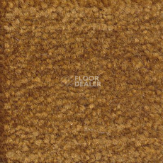 Ковролин Emphatic Beaulieu of America 56722 фото 1 | FLOORDEALER