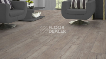 Kronotex Exquisit 8мм d3241 Тик Ностальгия Бежевый фото 2 | FLOORDEALER