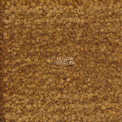 Ковролин Emphatic Beaulieu of America 56722 фото 1 | FLOORDEALER