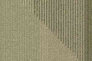 Ковровая плитка Interface Oblique 333714 фото  | FLOORDEALER