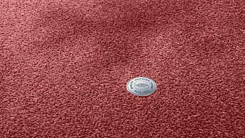 Ковролин Vorwerk Superior 1064/Lyrica Vorwerk 1n38 фото 1 | FLOORDEALER