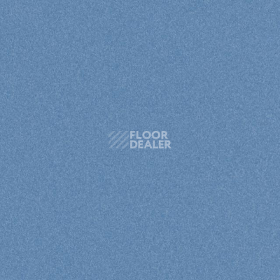 Линолеум Tarkett iq Melodia 2628 фото 1 | FLOORDEALER