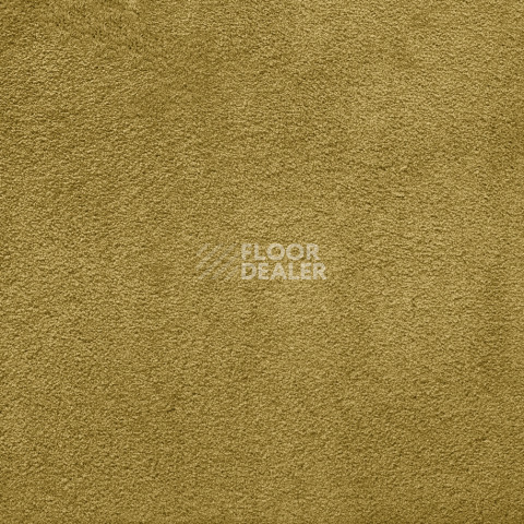 Ковролин AW Silk 54 фото 1 | FLOORDEALER