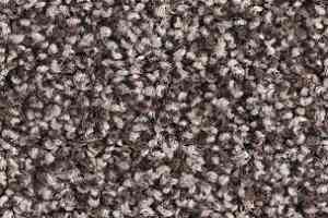 Ковролин Balsan Les Must Les Must 760 фото  | FLOORDEALER