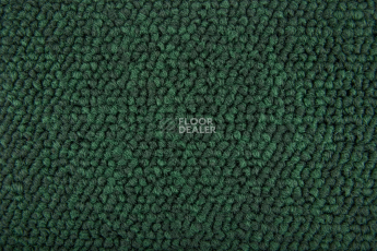Standard Carpets Spectrum sm 566 фото 2 | FLOORDEALER