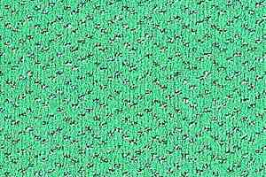 Ковролин Balta ITC Fortesse Fortesse 46 фото  | FLOORDEALER