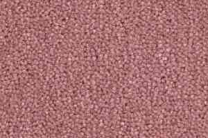 Ковролин Balsan Majestic 525 фото  | FLOORDEALER