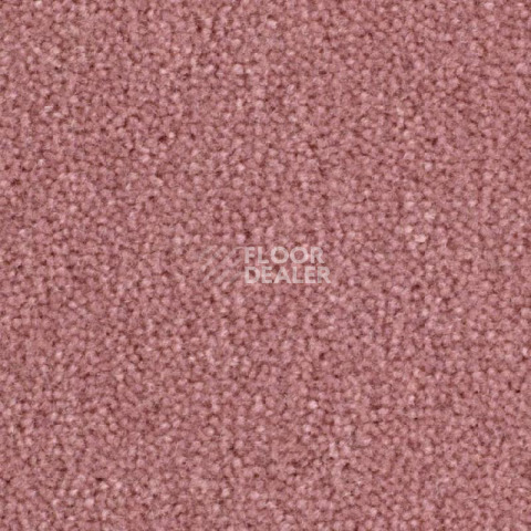 Ковролин Balsan Majestic 525 фото 1 | FLOORDEALER