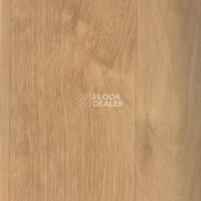 Линолеум Grabosafe Silver Knight 2086-384-855-275 фото 1 | FLOORDEALER