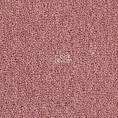 Ковролин Balsan Majestic 525 фото 1 | FLOORDEALER