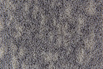 Flotex Colour s 445023 Canyon Linen фото 2 | FLOORDEALER