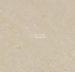 Кварцвиниловые полы Marmoleum Modular Shade 3711 фото 1 | FLOORDEALER