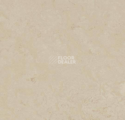 Кварцвиниловые полы Marmoleum Modular Shade 3711 фото 1 | FLOORDEALER