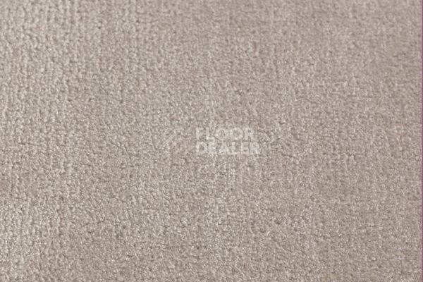 Ковролин Jacaranda Carpets Simla Grey фото 1 | FLOORDEALER