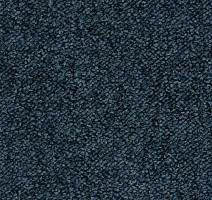 Ковролин Desso Pallas-Brlm 9021 фото 1 | FLOORDEALER