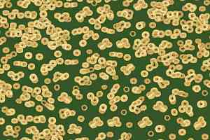 Ковролин Flotex Sottsass Bacteria 990502 фото  | FLOORDEALER