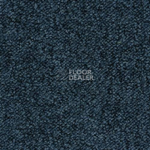 Ковролин Desso Pallas-Brlm 9021 фото 1 | FLOORDEALER