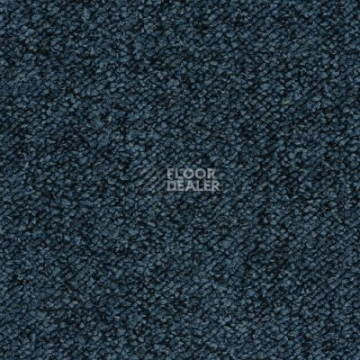 Ковролин Desso Pallas-Brlm 9021 фото 1 | FLOORDEALER