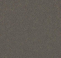 Ковровая плитка Westbond Ibond Natural 9741 фото 1 | FLOORDEALER