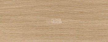 Плинтус Dollken EP 60/13 2369 фото 2 | FLOORDEALER