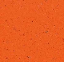 Кварцвиниловые полы Forbo Allura Colour C68031 фото 1 | FLOORDEALER