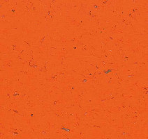 Кварцвиниловые полы Forbo Allura Colour C68031 фото 1 | FLOORDEALER