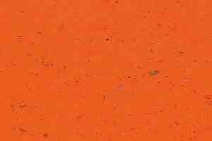 Кварцвиниловые полы Forbo Allura Colour C68031 фото  | FLOORDEALER