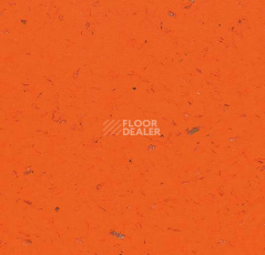 Кварцвиниловые полы Forbo Allura Colour C68031 фото 1 | FLOORDEALER