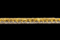 Desso Recharge ac 41 6218 фото 7 | FLOORDEALER